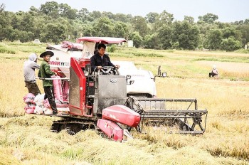 Huyện Gio Linh: Nông nghiệp bứt phá, vượt khó vươn lên