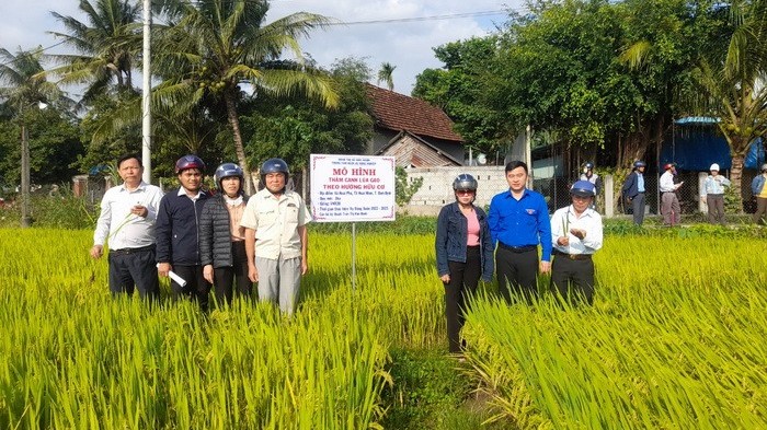 Nông nghiệp hữu cơ góp phần đẩy nhanh tốc độ tăng trưởng kinh tế của địa phương