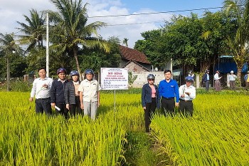 Nông nghiệp hữu cơ góp phần đẩy nhanh tốc độ tăng trưởng kinh tế của địa phương