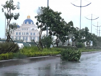 Bão số 3 tàn phá Quảng Ninh: Cô Tô mất điện, cây cối gãy đổ la liệt