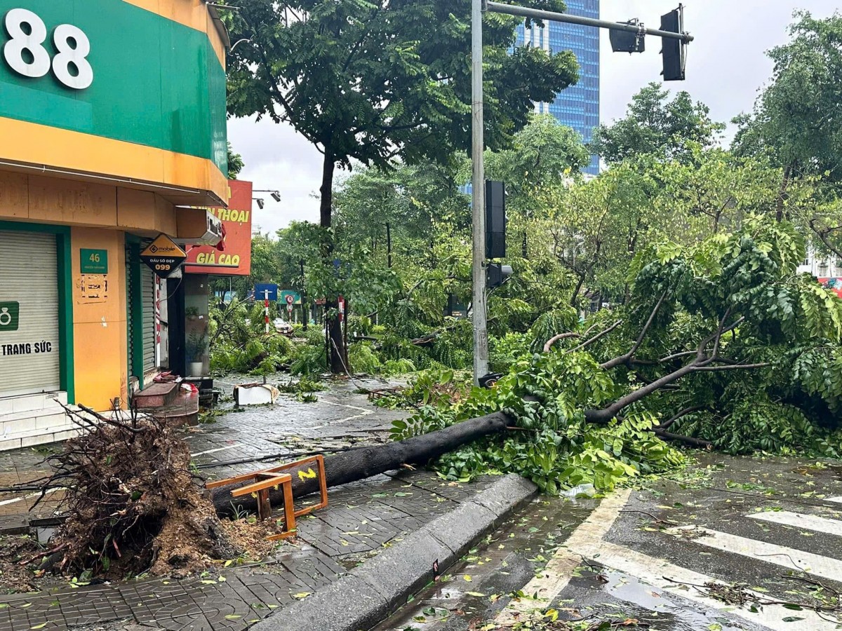 Hà Nội khắc phục hậu quả sau bão số 3 Hà Nội khắc phục hậu quả sau bão số 3