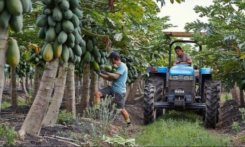 Cơ hội xuất khẩu lao động nông nghiệp sang Australia