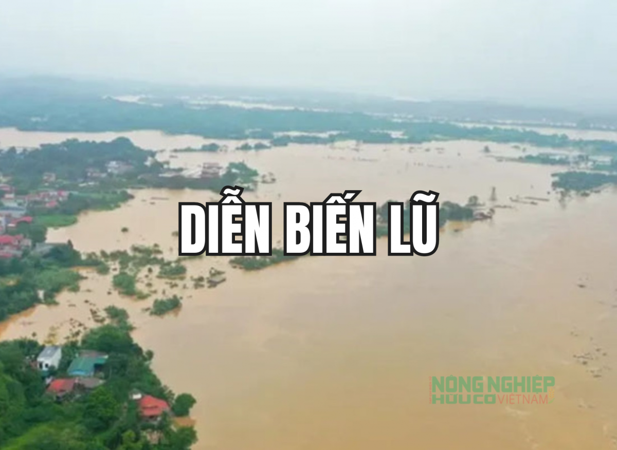 Diễn biến lũ: Sông Thao tại Yên Bái đang xuống nhưng vẫn ở trên mức nước lũ lịch sử năm 1968