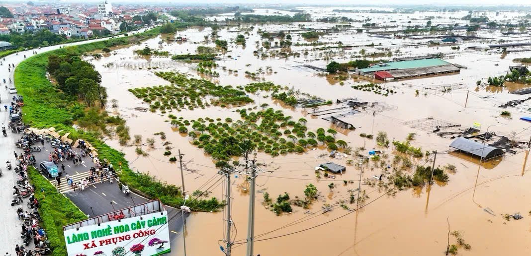 Hưng Yên: Vùng trồng hoa lớn nhất tỉnh tan hoang vì lũ