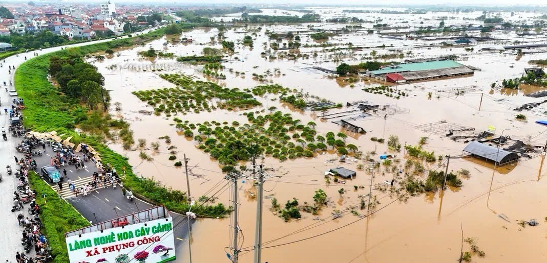 Hưng Yên: Vùng trồng hoa lớn nhất tỉnh tan hoang vì lũ