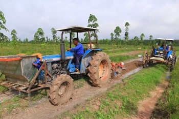 Tây Ninh ứng dụng công nghệ sản xuất lạc 4.0