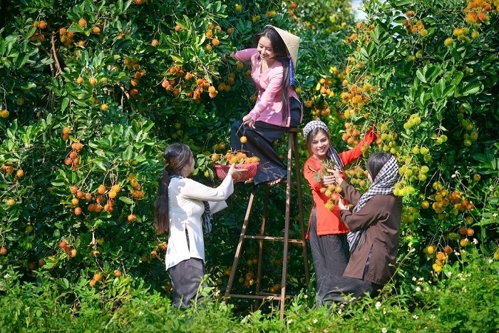 Long Khánh: OCOP dẫn lối, nông sản lên ngôi