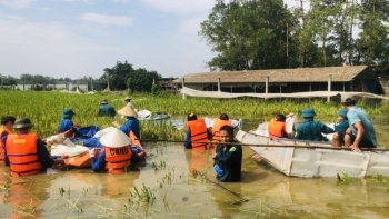 Thủ tướng: Các địa phương triển khai biện pháp bảo vệ và khôi phục sản xuất nông nghiệp