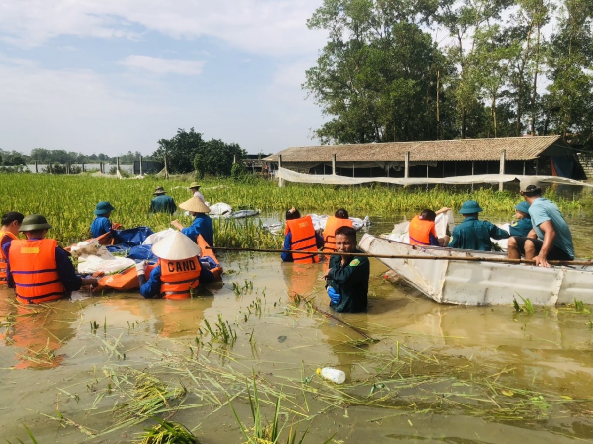 Bằng mọi biện pháp tiêu úng, chống ngập nhanh nhất nhằm giảm thiểu thiệt hại đối với sản xuất nông nghiệp; kịp thời cứu diện tích lúa, hoa màu, cây ăn quả, cây cảnh…  - Ảnh minh họa.