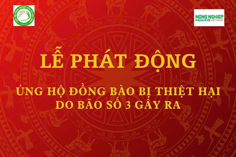 Hiệp hội Nông nghiệp Hữu cơ Việt Nam kêu gọi cộng đồng chung tay khắc phục hậu quả bão lũ