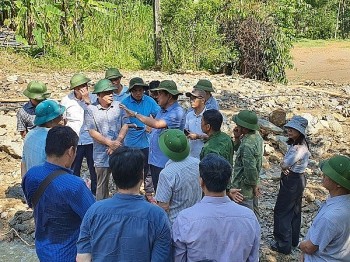 Hà Giang gần 1.200 ha lúa, 469 ha ngô, 149 ha cây hoa màu bị thiệt hại do bão số 3