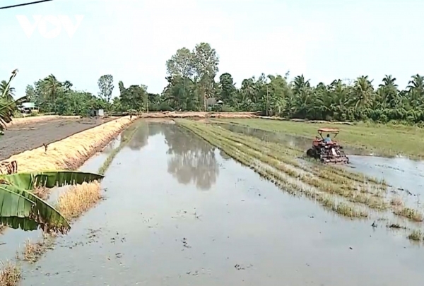 Bình Tân: Biến mùa lũ thành "mùa vàng"