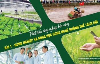 Nông nghiệp và khoa học công nghệ không thể tách rời - Bài 1