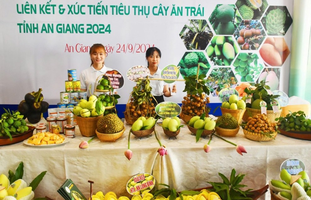 An Giang tạo điều kiện để doanh nghiệp đầu tư, phát triển liên kết và tiêu thụ nông sản