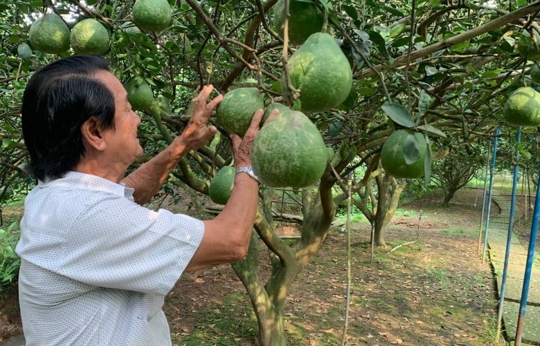 Xây dựng nhiều mô hình sản xuất nông nghiệp hữu cơ tại Đồng Nai