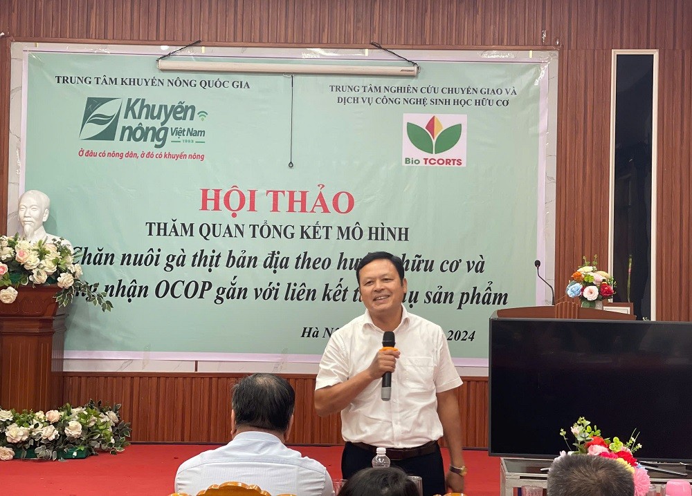 Chăn nuôi gà thịt theo hướng hữu cơ và chứng nhận OCOP: Mô hình cần được nhân rộng