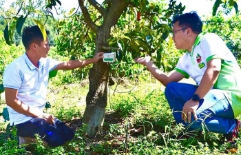 Bình Phước: Tăng cường hỗ trợ địa phương sản xuất lúa