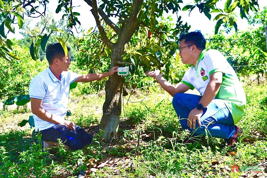 Bình Phước: Tăng cường hỗ trợ địa phương sản xuất lúa