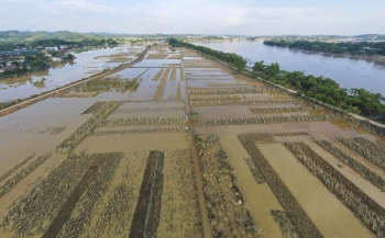 Quyết tâm hồi sinh "vựa rau" Tuy Lộc