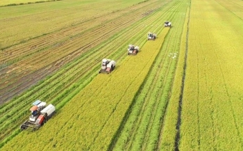 Tín chỉ carbon nông nghiệp: Việt Nam 'chậm mà chắc', Ghana 'đi tắt đón đầu'