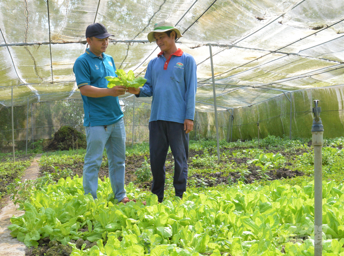 Sống chung giữa nông nghiệp an toàn và nông nghiệp hữu cơ trong chiến lược an ninh lương thực