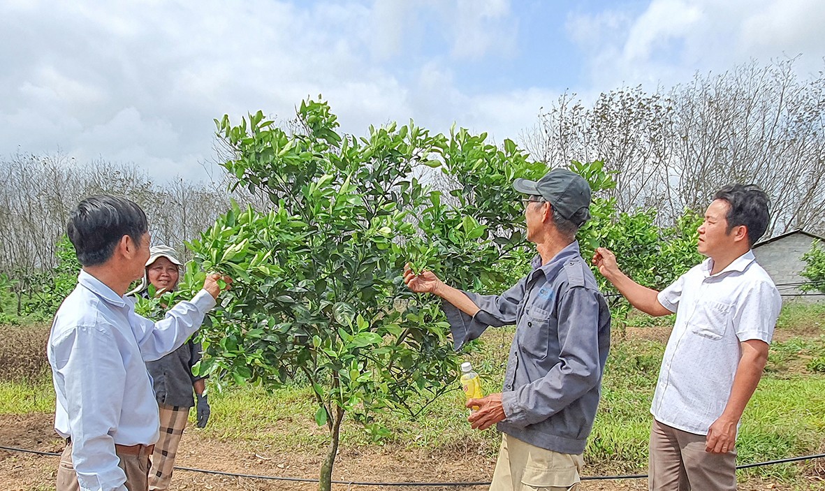 Phát triển nông nghiệp công nghệ cao, nông nghiệp hữu cơ góp phần xây dựng nông thôn mới bền vững