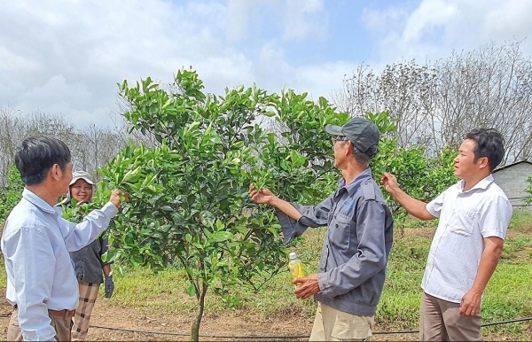 Quảng Trị: Xây dựng nông thôn mới trên nền tảng nông nghiệp công nghệ cao, nông nghiệp hữu cơ