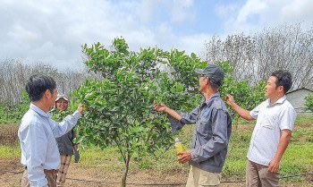 Quảng Trị: Xây dựng nông thôn mới trên nền tảng nông nghiệp công nghệ cao, nông nghiệp hữu cơ