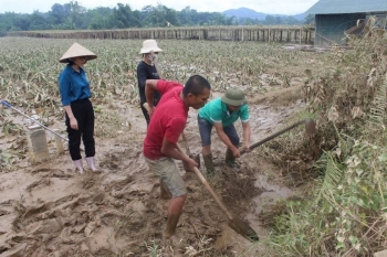 Gần 90 tấn hạt giống "tiếp sức" cho đồng ruộng Lào Cai