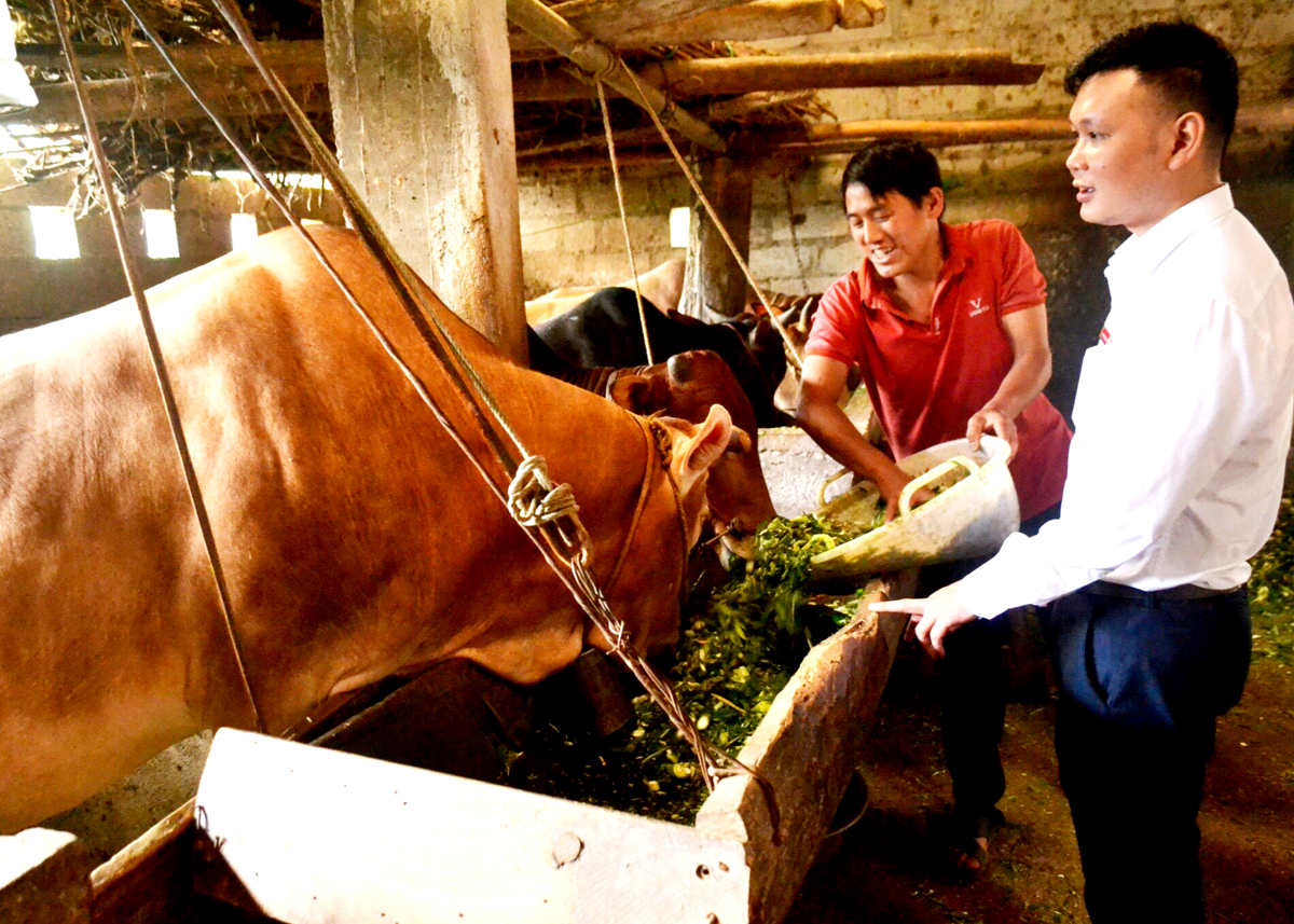 Hà Giang: Chú trọng làm nông nghiệp hữu cơ bền vững