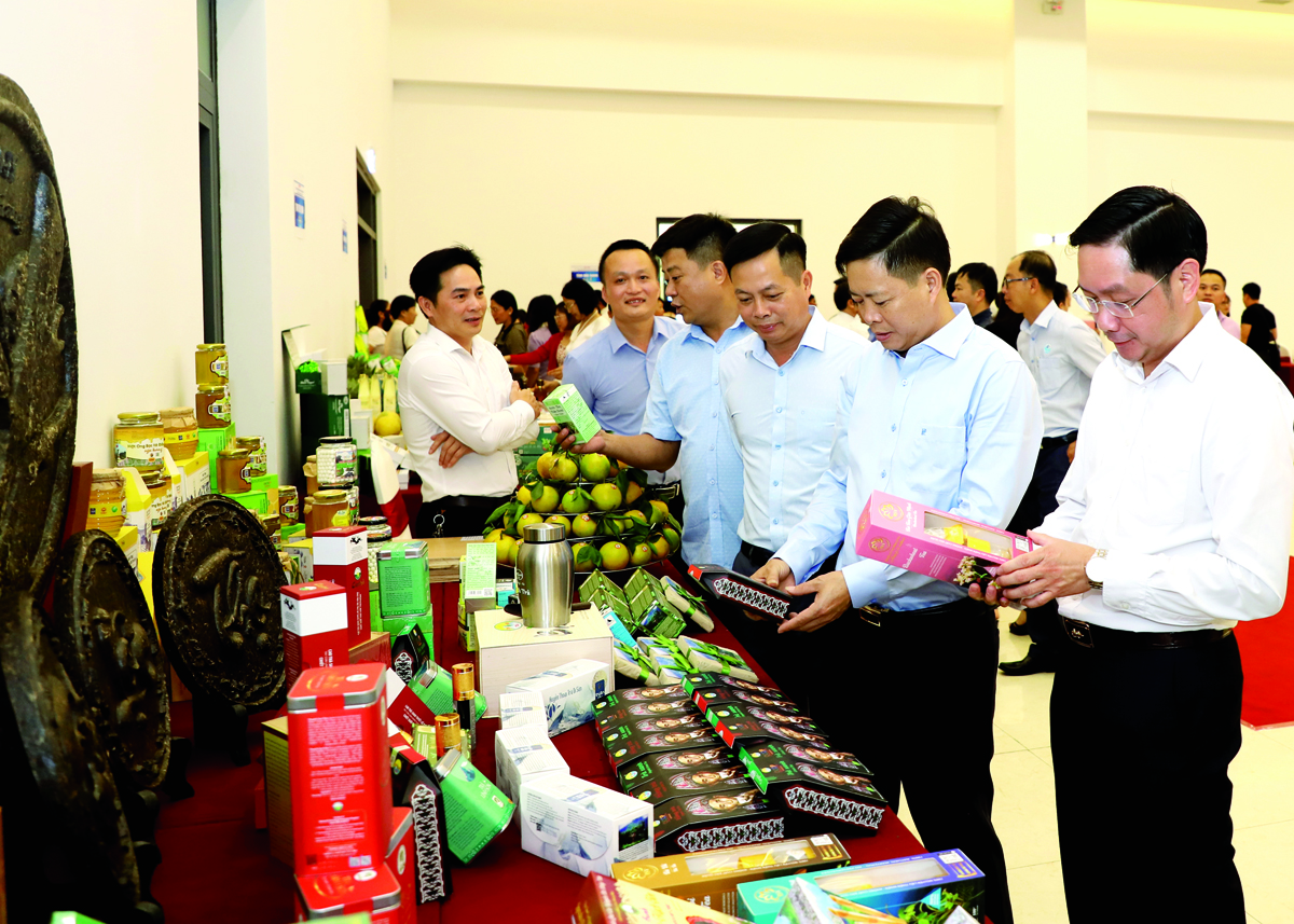 Hà Giang: Chú trọng làm nông nghiệp hữu cơ bền vững