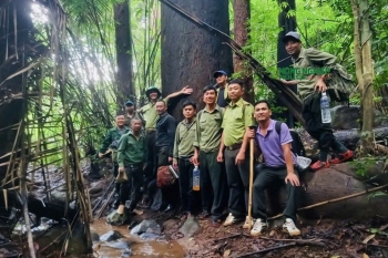 Đắk Nông: Tuần tra, ngăn chặn các hành vi vi phạm về lĩnh vực lâm nghiệp