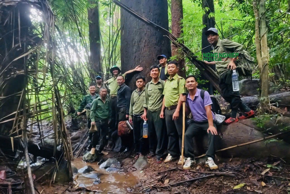 Đắk Nông: Tuần tra, ngăn chặn các hành vi vi phạm về lĩnh vực lâm nghiệp