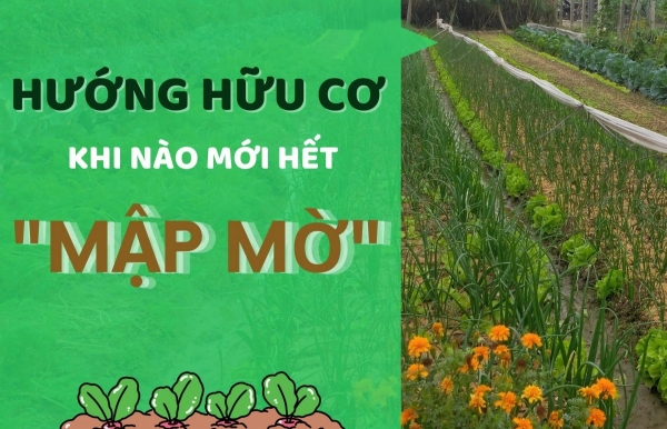 "Hướng hữu cơ": Khi nào mới hết "mập mờ"?