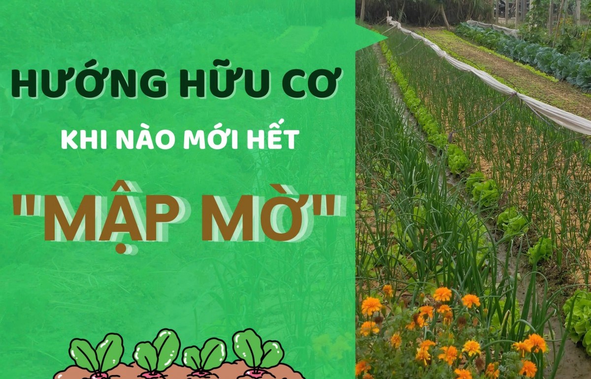 "Hướng hữu cơ": Khi nào mới hết "mập mờ"?