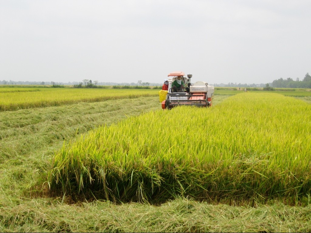 Nỗi lo cho máy nông nghiệp "Made in Vietnam"