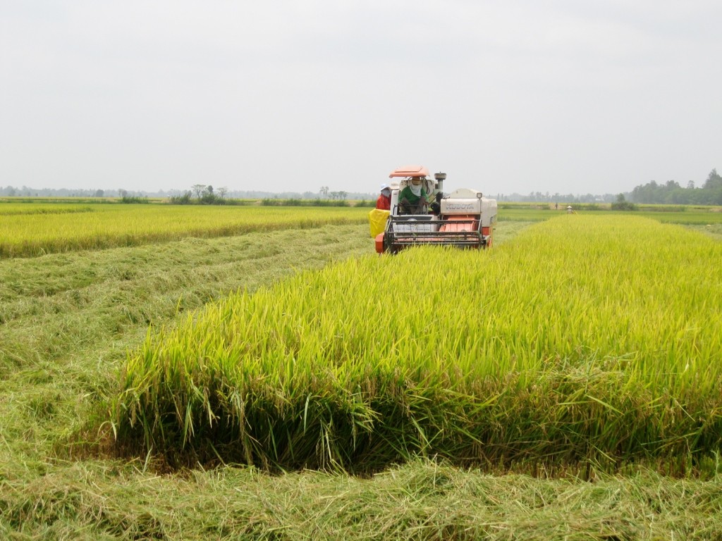 Nỗi lo cho máy nông nghiệp 