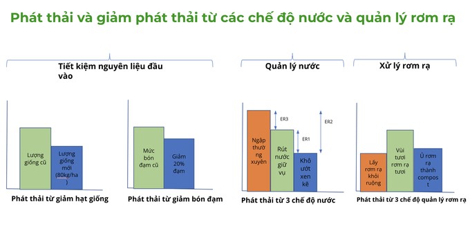 Còn thiếu cơ chế để động viên nông dân sản xuất lúa phát thải thấp. Ảnh: Lê Thanh Tùng.