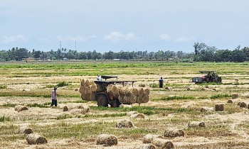 Chìa khóa nâng cao giá trị nông sản Phú Yên