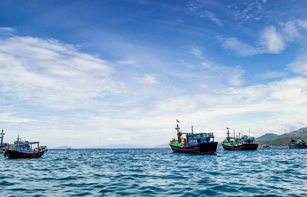 Đề xuất sửa đổi, bổ sung Thông tư trong lĩnh vực khai thác thuỷ sản