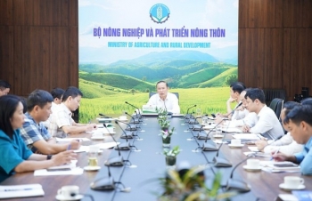 Sản xuất nông nghiệp trong 9 tháng năm 2024 vẫn đạt mức 3,2%