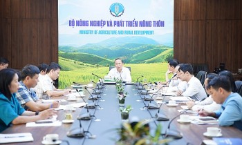 Sản xuất nông nghiệp trong 9 tháng năm 2024 vẫn đạt mức 3,2%