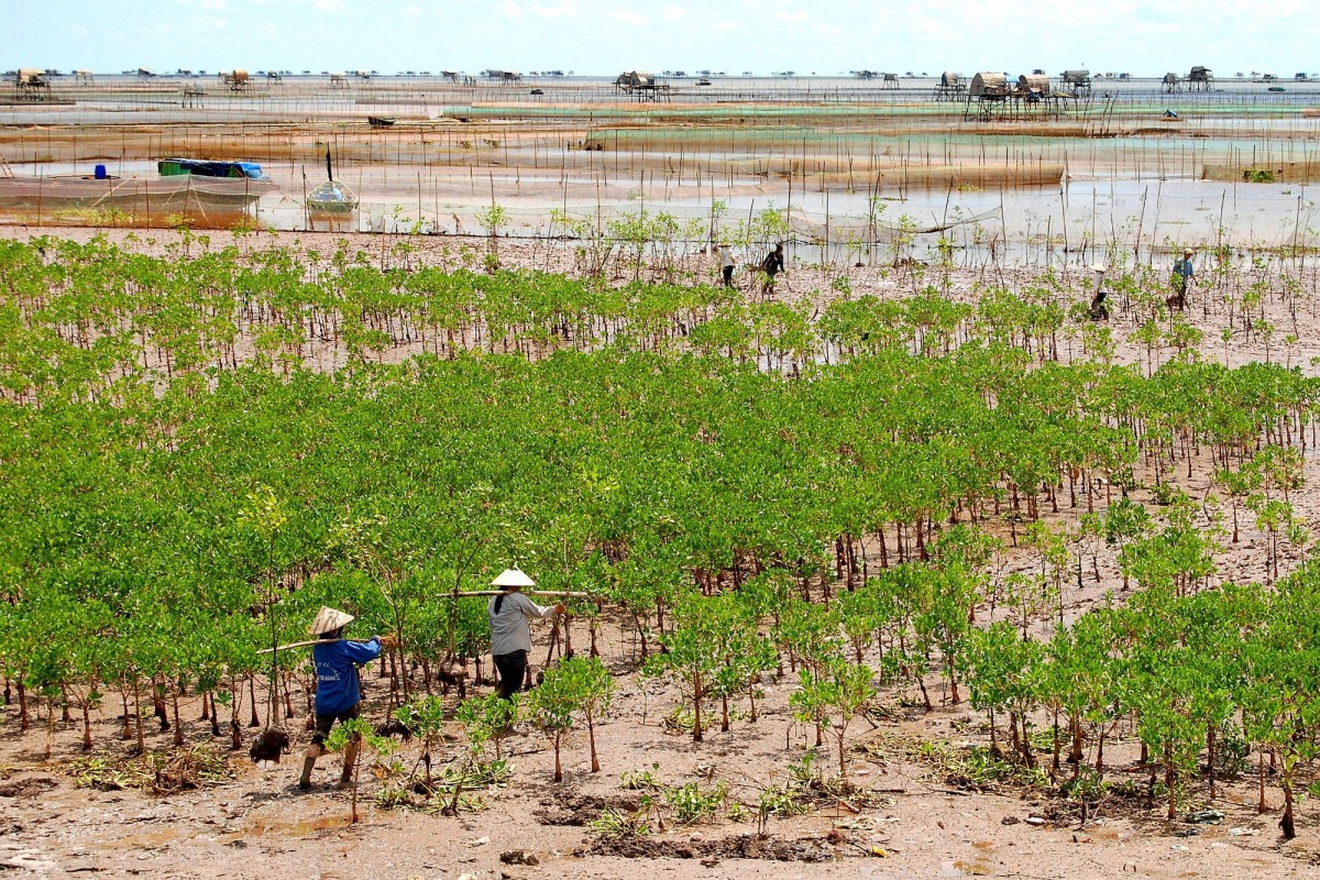 Phó Thủ tướng Trần Hồng Hà cho rằng Đề án phải hình thành và vận hành nhuần nhuyễn sàn giao dịch carbon trong nước cả về pháp lý, con người, cơ chế chính sách - Ảnh minh họa.