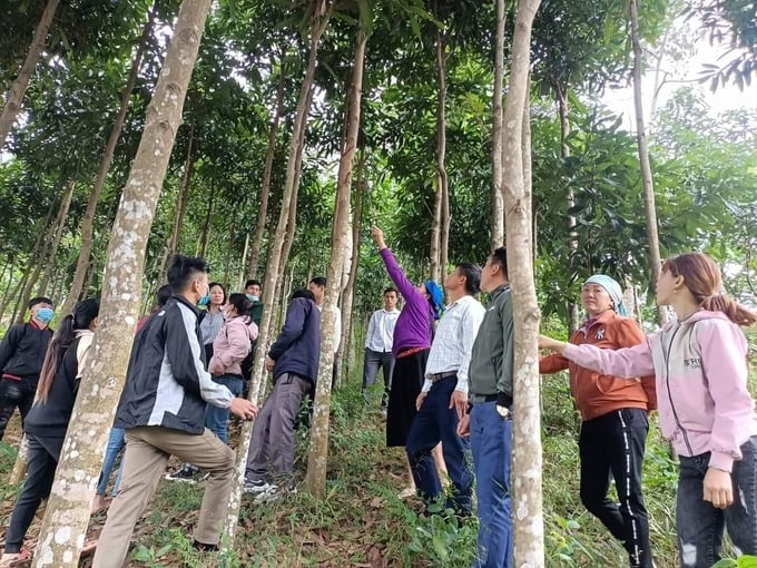 Lào Cai: Huyện Bắc Hà vươn lên từ nông nghiệp hữu cơ