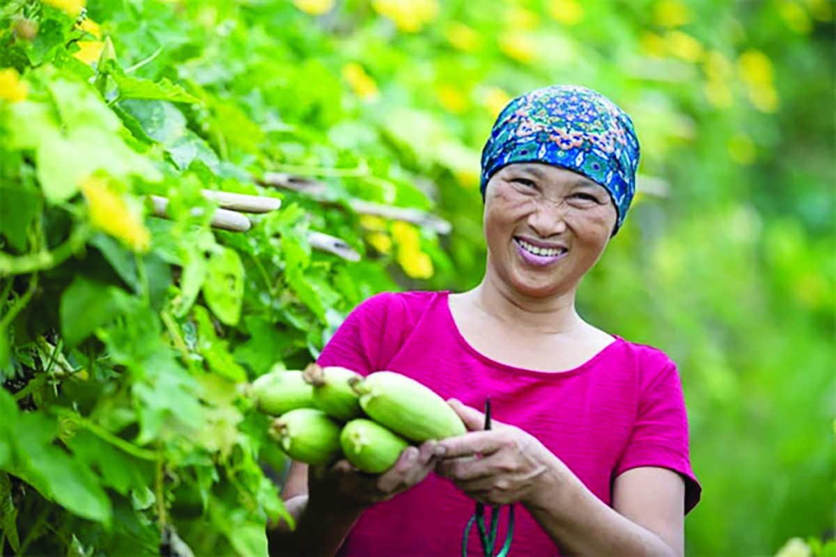 Đầu tư phát triển nông nghiệp hữu cơ là xu hướng tất yếu