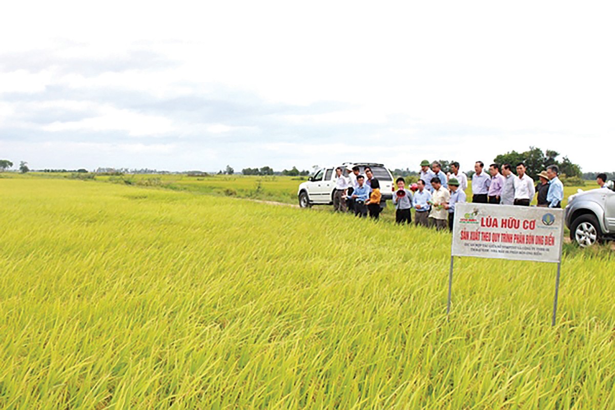 Đầu tư phát triển nông nghiệp hữu cơ là xu hướng tất yếu