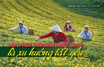 [Longform] Đầu tư phát triển nông nghiệp hữu cơ là xu hướng tất yếu