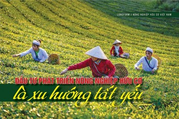 [Longform] Đầu tư phát triển nông nghiệp hữu cơ là xu hướng tất yếu