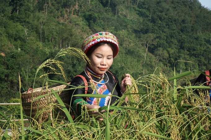 Bắc Kạn tận dụng thế mạnh sẵn có để sản xuất nông nghiệp hữu cơ