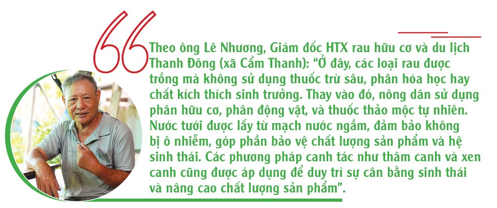 Hành trình “xanh” hóa du lịch từ những vườn rau hữu cơ